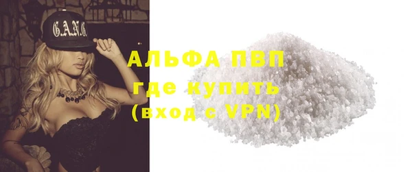 спиды Михайлов