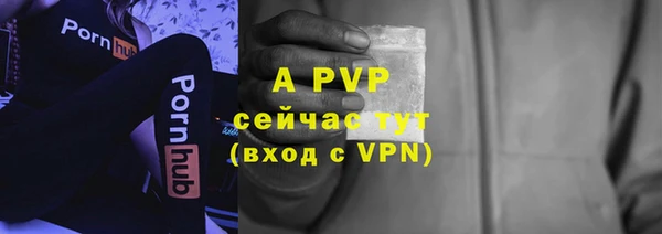 спиды Михайлов
