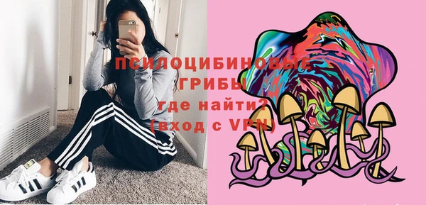 спиды Михайлов