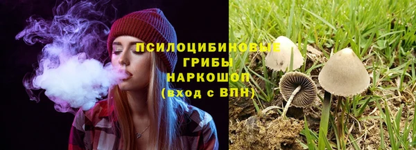 кокс Снежногорск