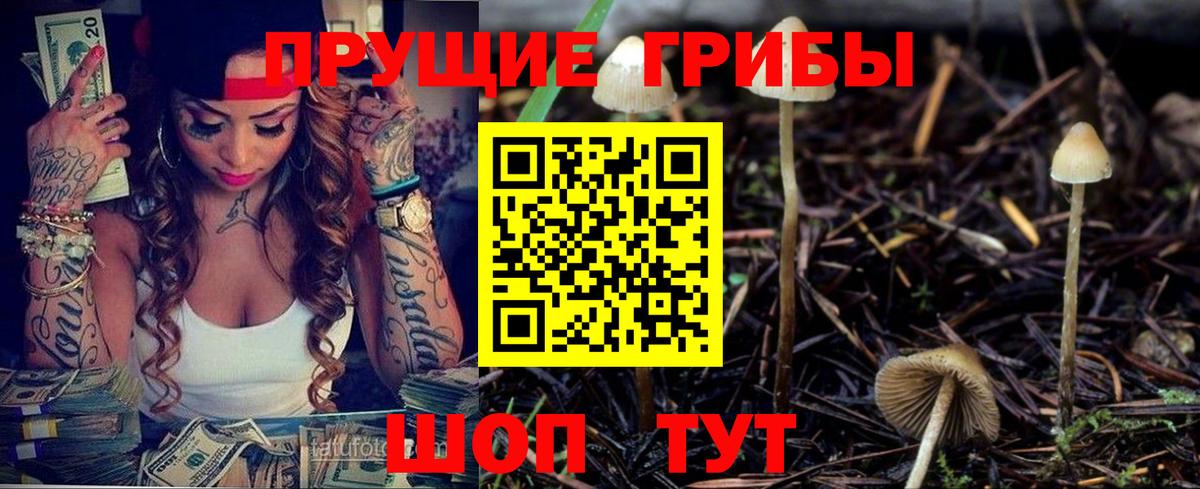 Галлюциногенные грибы прущие грибы  Псилоцибиновые грибы Magic Shrooms  Тихвин  Вход с VPN 