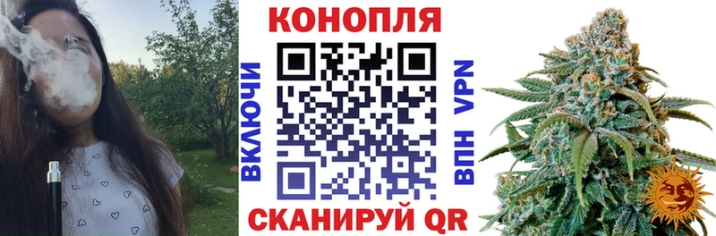 Бошки марихуана индика  Тихвин 